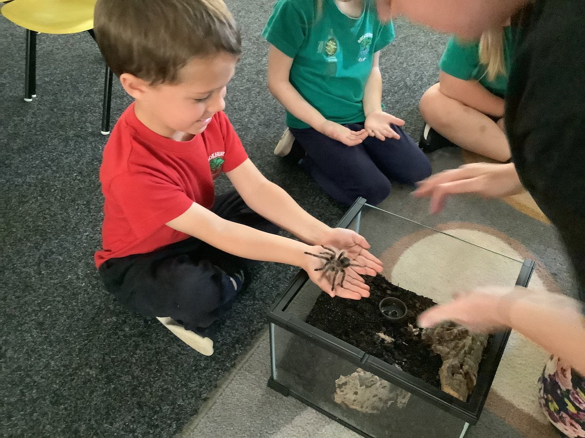 Brookhurst Primary School, Wirral tweet media