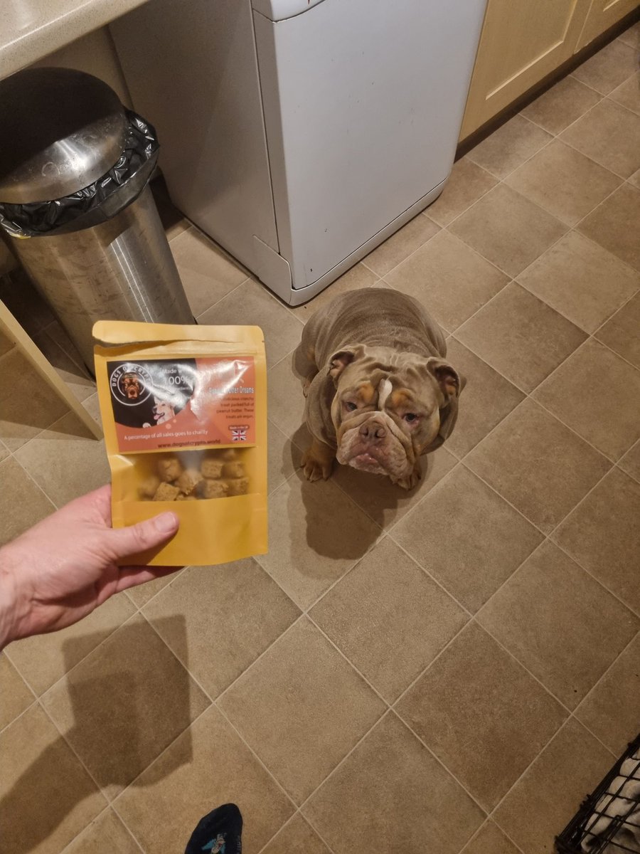 DOC_erc20's tweet image. Morning buddy how are you  does your dog want some of our treats? 

#weareDOC #DOCarmy