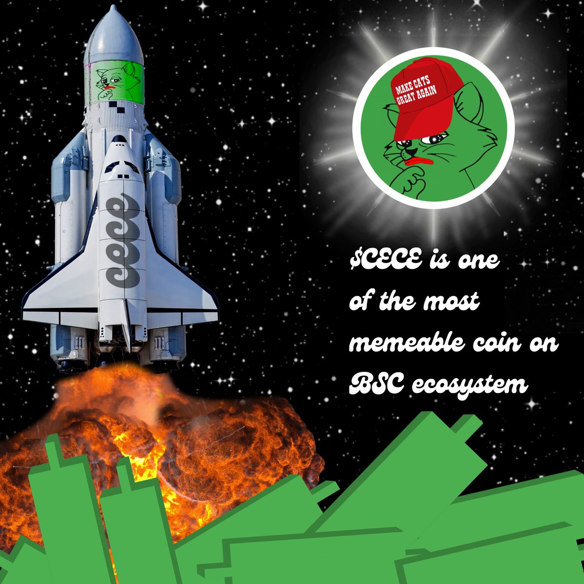 CeceToken's tweet photo. $CECE is ready to takeover $PEPE party! https://t.co/LBt9qurZTq
