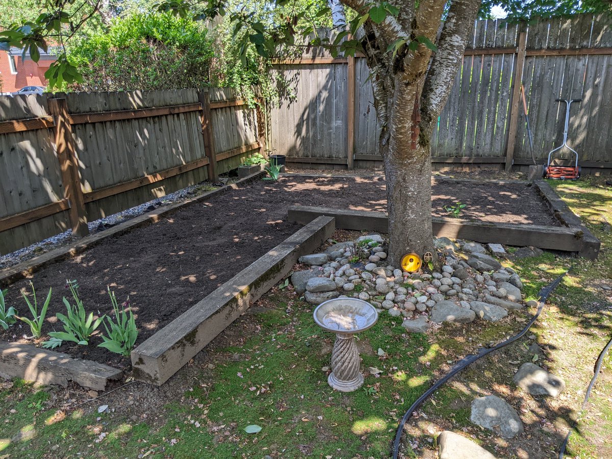 bmcarrick's tweet image. I had taken on so many editing projects before, during, &amp;amp; after moving.

So I took yesterday off to buy some plants and prep our new garden beds with my mom. Then I slept in today.

It&apos;s so easy to forget the perks of being a freelancer. I should do this more often!

#edibuddies