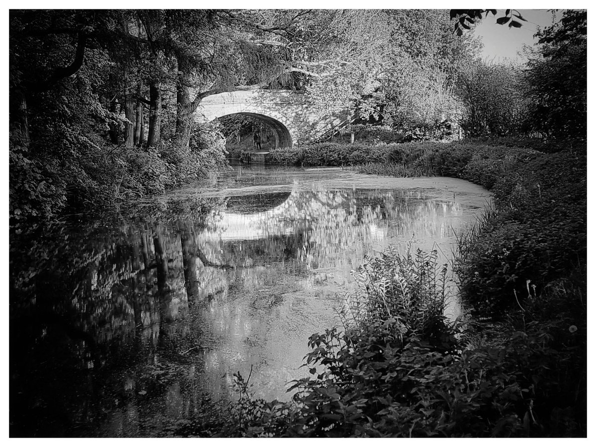 Evening walk along the Canal. 
#igerscumbria #lensculture #lancastercanal #capturewithconfidence #bbccountryfilemag #landscapephotography #excellent_britain #bbccountryfilemag #natureinbritain #yourebritain