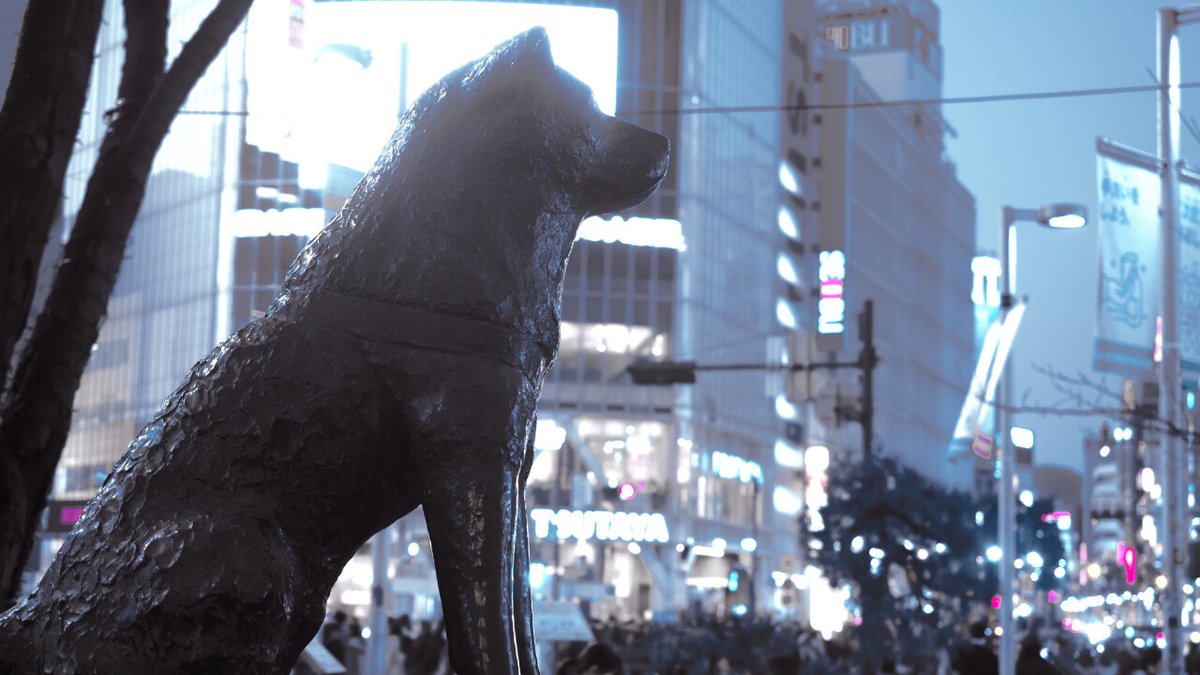 Anime NYC on Twitter "RT Tokyo_gov 100 years of Hachiko! This year