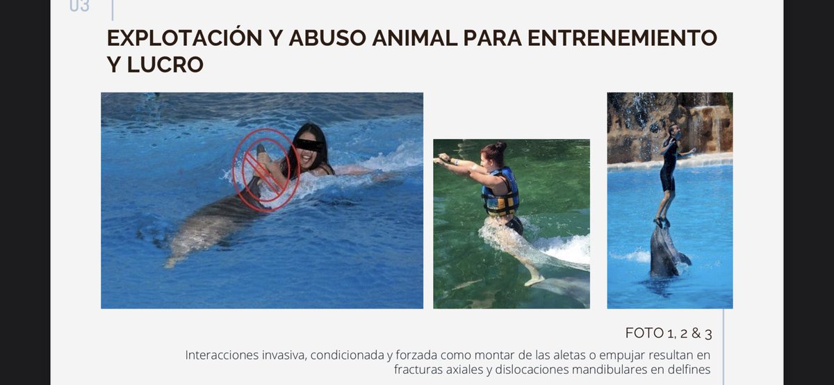 Empty the Tanks México tweet media