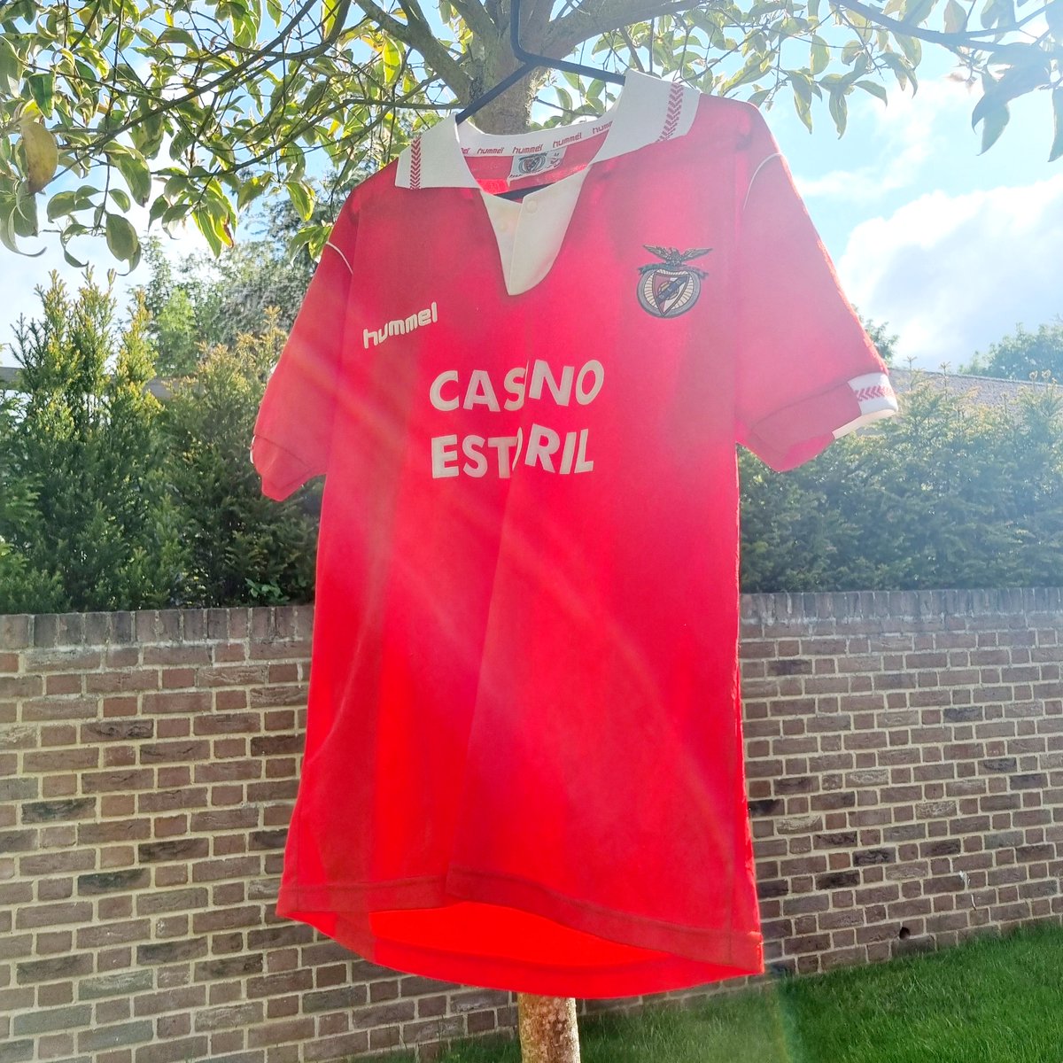 Bye bye to this beautiful 1992/93 Benfica Hummel Home Shirt

Off to a new home.  

Worn by the likes of Rui Costa, Xavier, Pinto, Mostovoi, Futre, Helder & Sousa 🔥

#benfica #WeAreBenfica #beautifulfootballshirts #offtoanewhome