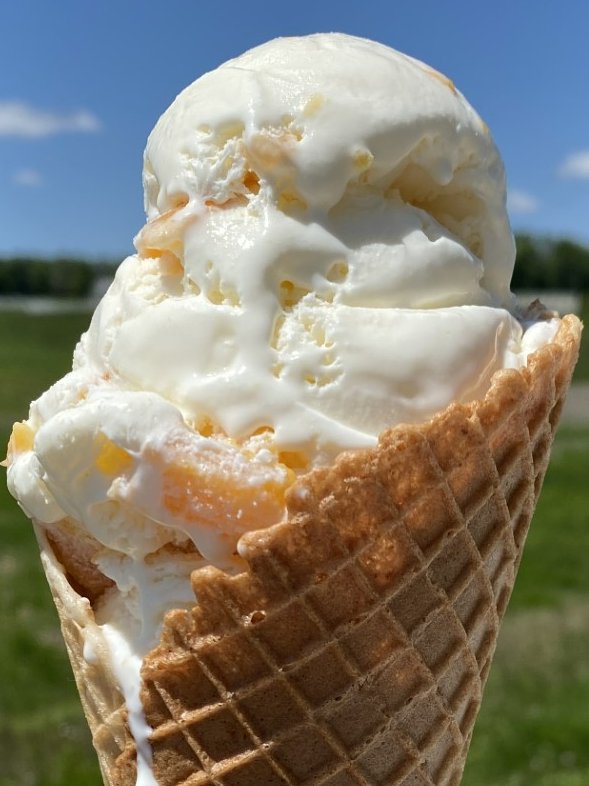 Peach is back!! 🍑🍑 We're open 11am-9pm daily. We'll be open Memorial Day, normal hours. #uconn #uconndairybar