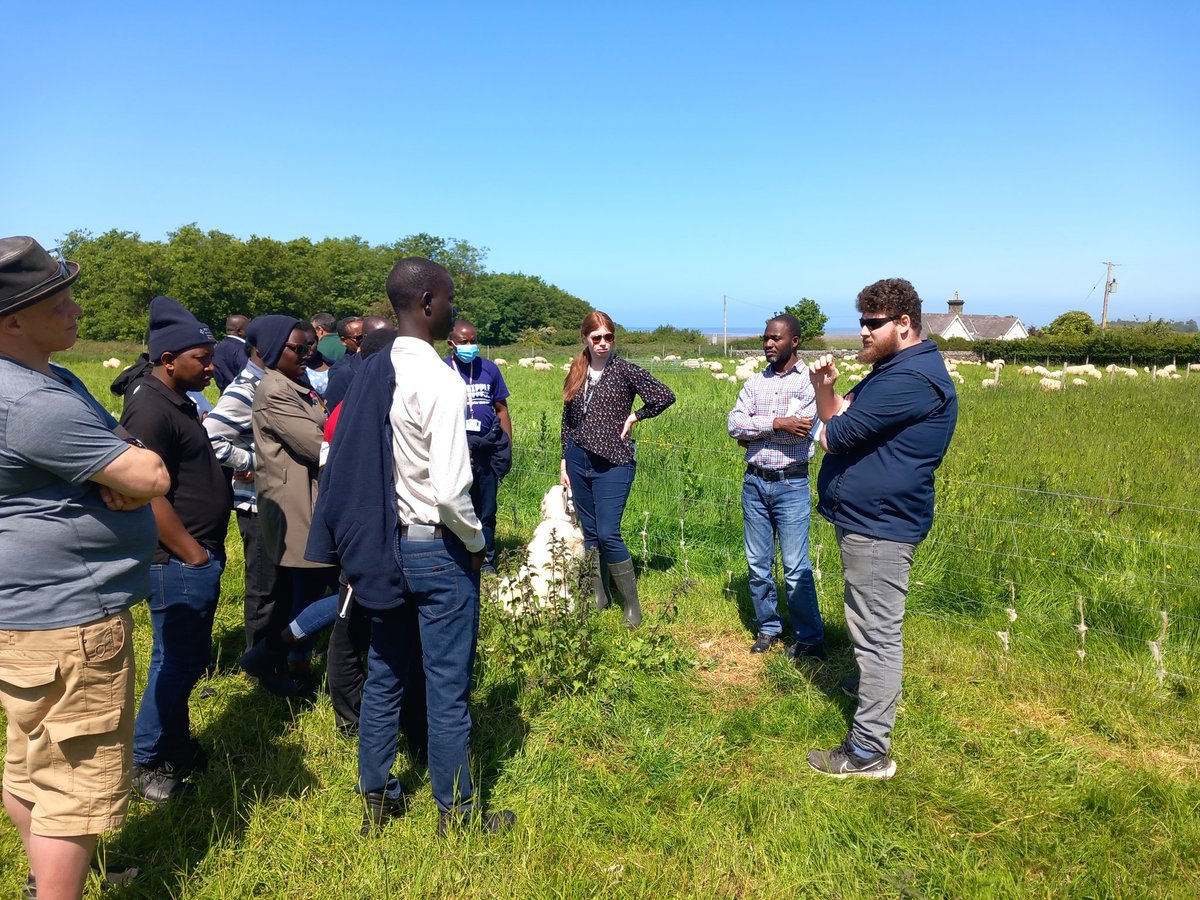 Croeso i Gymru🏴󠁧󠁢󠁷󠁬󠁳󠁿 ! Dyma be oedd criw da.
Delighted to have 12 nationalities participate in this event today - Henfaes Research Centre @BangorSNS. Great discussions about food security and sustainability challenges across the world. Diolch i bawb / thanks to all contributors