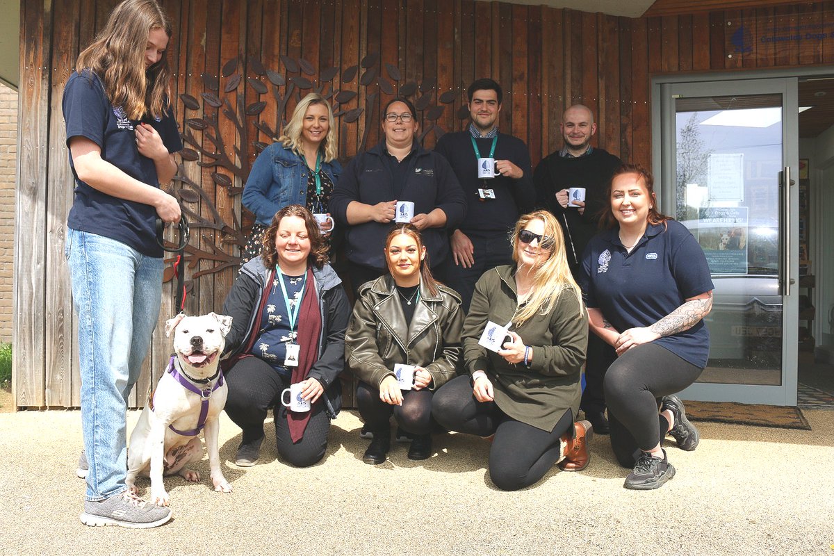 We were delighted to have our friends from @StroudDC over for a visit. It was an honour to be named SDC's charity of the year. You are welcome anytime! 

#stroud #council #charity #charityoftheyear #cotsdogscats