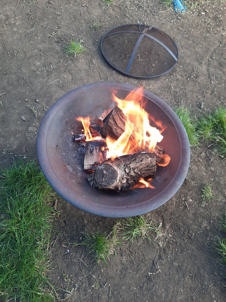 Freeman's Endowed - Year 4 tweet media