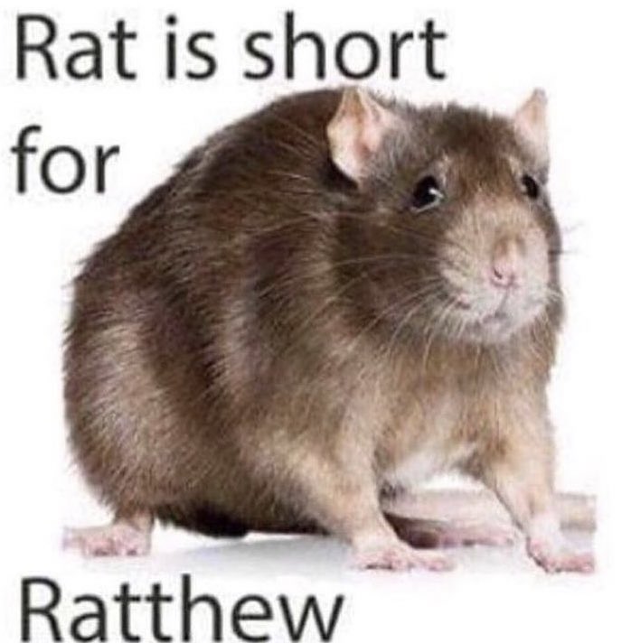 flöte's memestorage (@vollkrake) on Twitter photo 