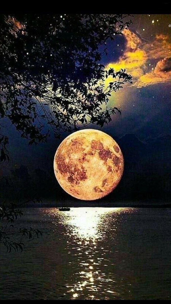 Goodnight dear friends !
#photos #photography #night #moonlight