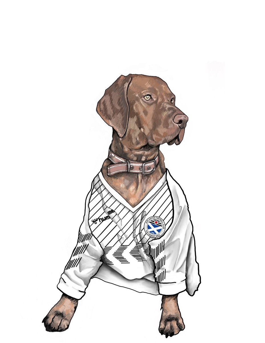 Here some digital sketches I have done for clients… of dogs wearing football shirts!