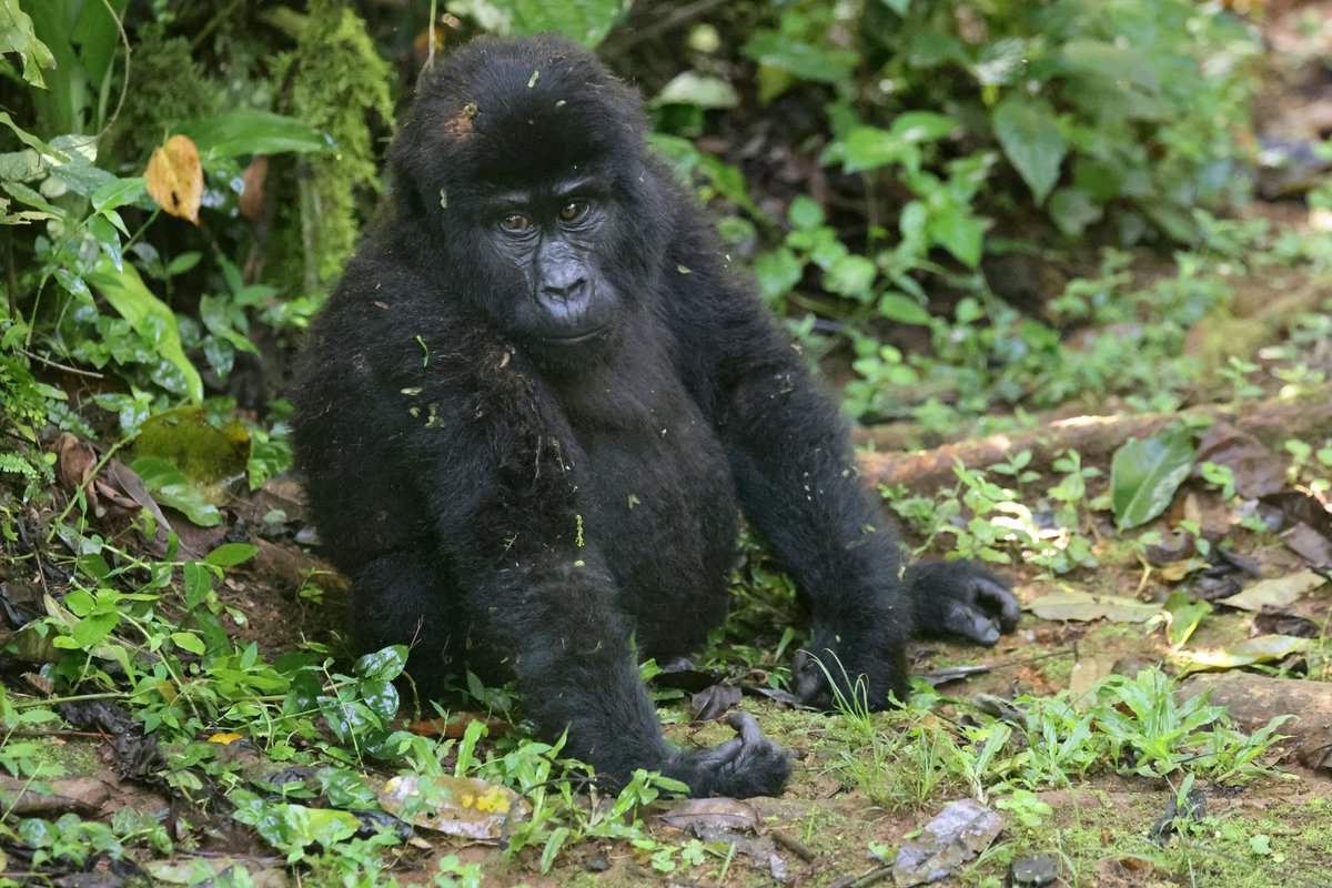 Tara Turkington tweet media