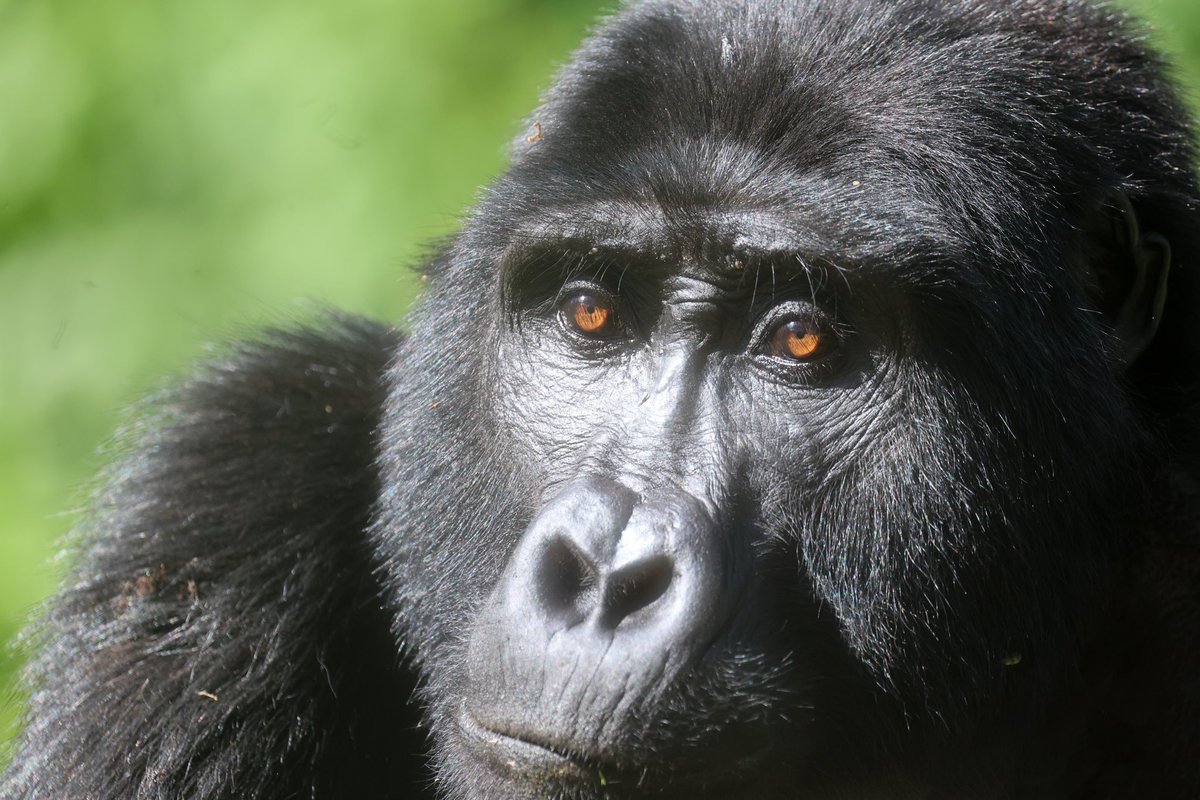 Tara Turkington tweet media