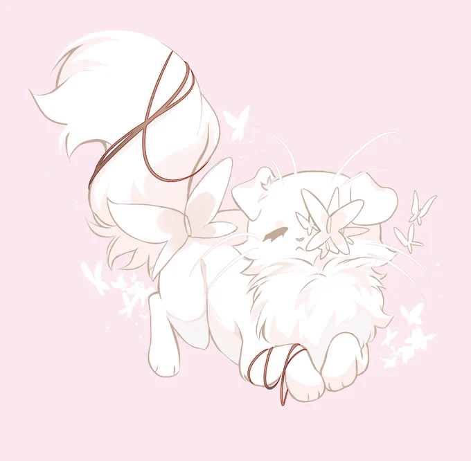 CATIFY