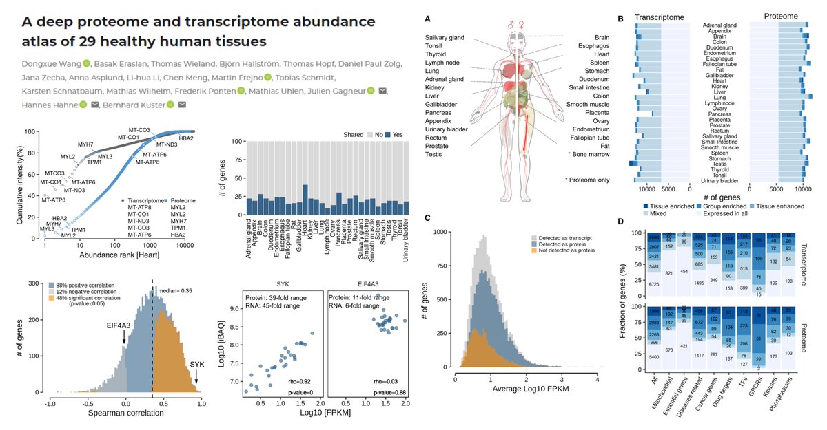 Two important papers to understand the concordance & discordance of proteome vs transcriptome

1/2
A deep proteome & transcriptome abundance atlas of 29 healthy👤tissues

Dr. Julien Gagneur, Hannes Hahne, Bernhard Kuster labs Mol Syst Biol 2019
embopress.org/doi/full/10.15…