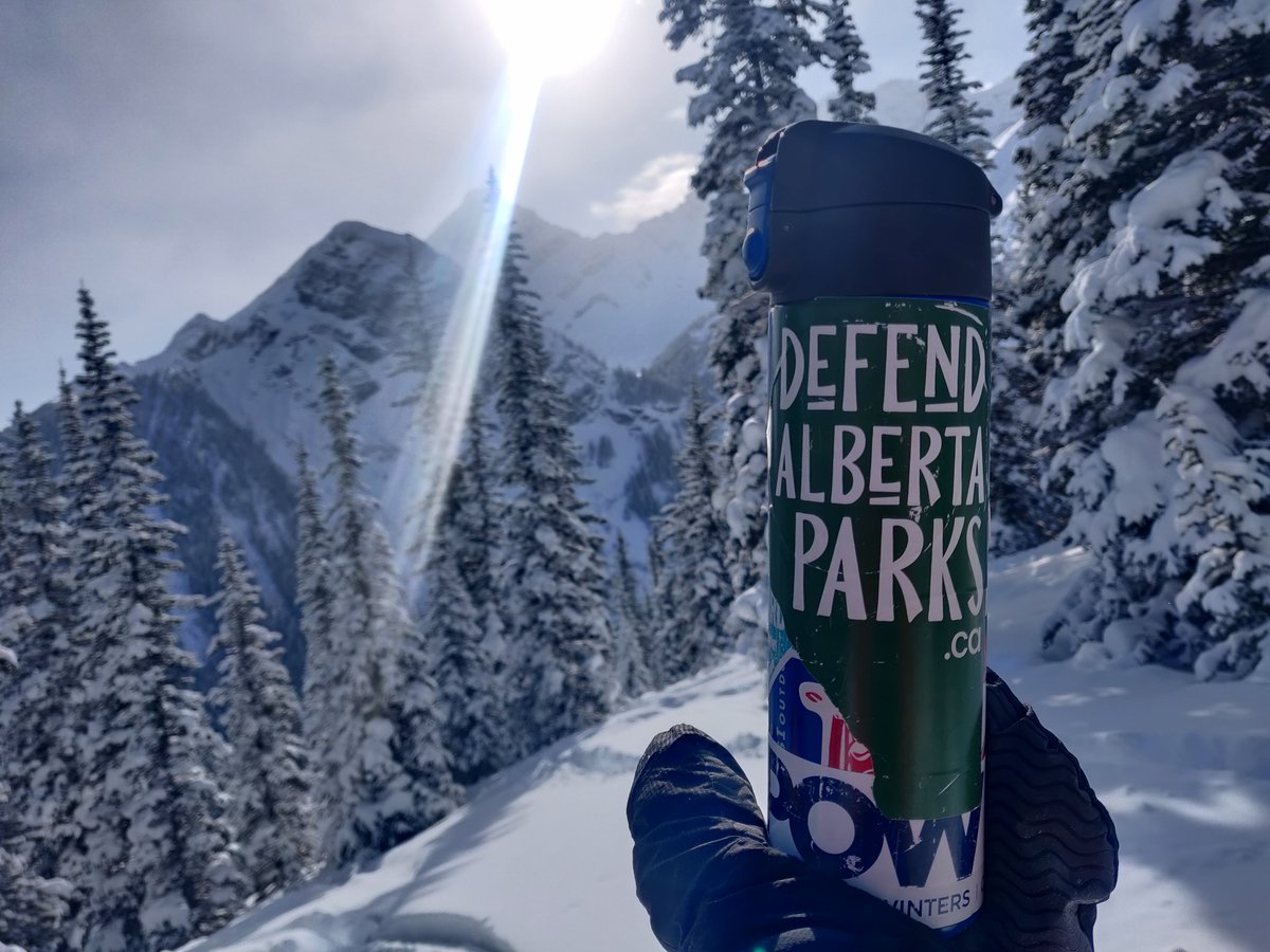 Annalise Klingbeil tweet media