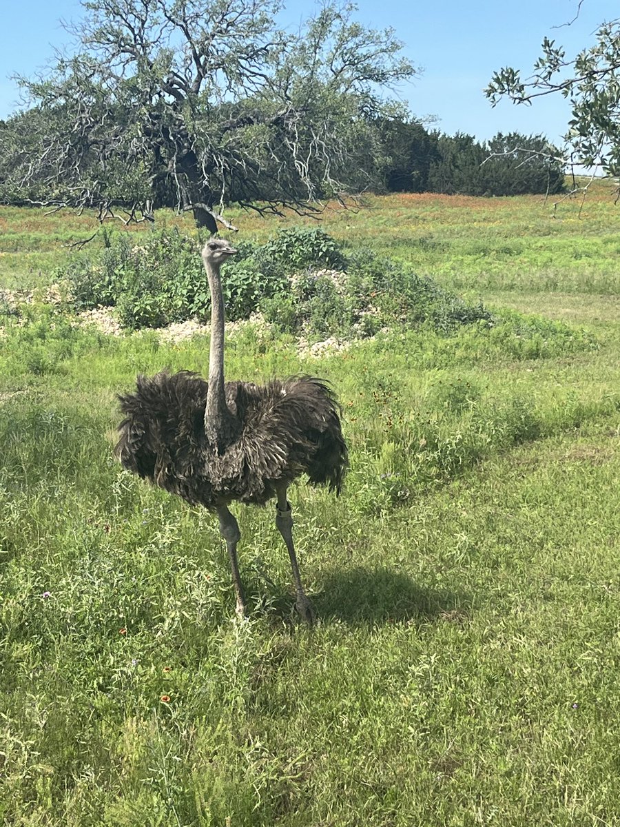 Becca Calvert tweet media