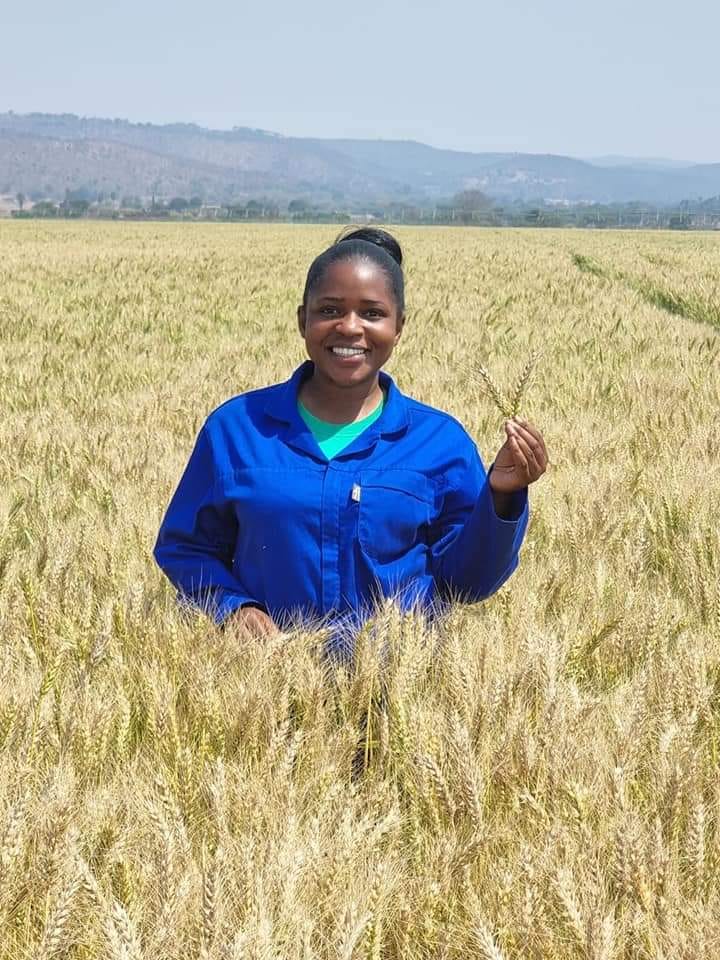 Lifevcore's tweet image. Investing in training and education can help you to improve kills and knowledge which can lead to increased efficiency and productivity in your farming business. Attending workshops, and training programs can help you learn new techniques that can help to reduce time wasting.