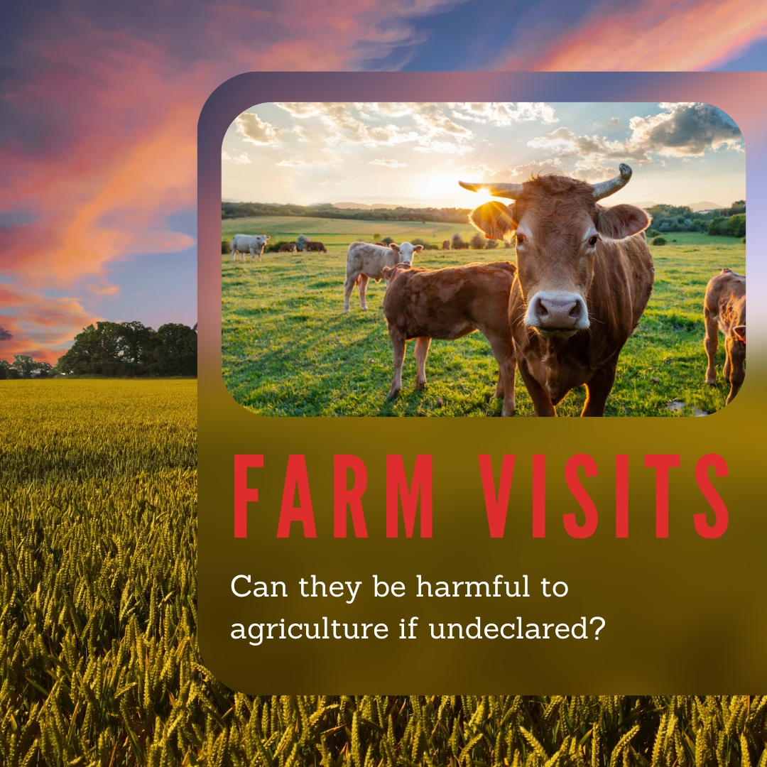 Don't Pack a Pest tweet media