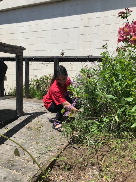 SherwoodEng's tweet photo. Our Santa Cruz staff volunteered last Friday off to transform their back patio in the office into a vibrate active space for staff to host meetings, lunches, and impromptu get togethers. Check out the new space below!

#engineers #volunteering  #design https://t.co/XTs8nRHq7W