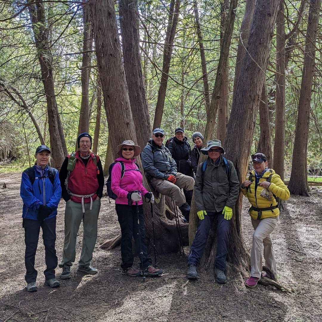 Yesterday's hike of approximately 16 km was the 5th of 6 hikes to finish a Blue Mountains Bruce Trail end to end. Cool temperatures were offset by warm hearts. Photo was taken next to the Pretty River. 
#brucetrailend2end #BruceTrailConservancy #brucetrailbluemountainclub