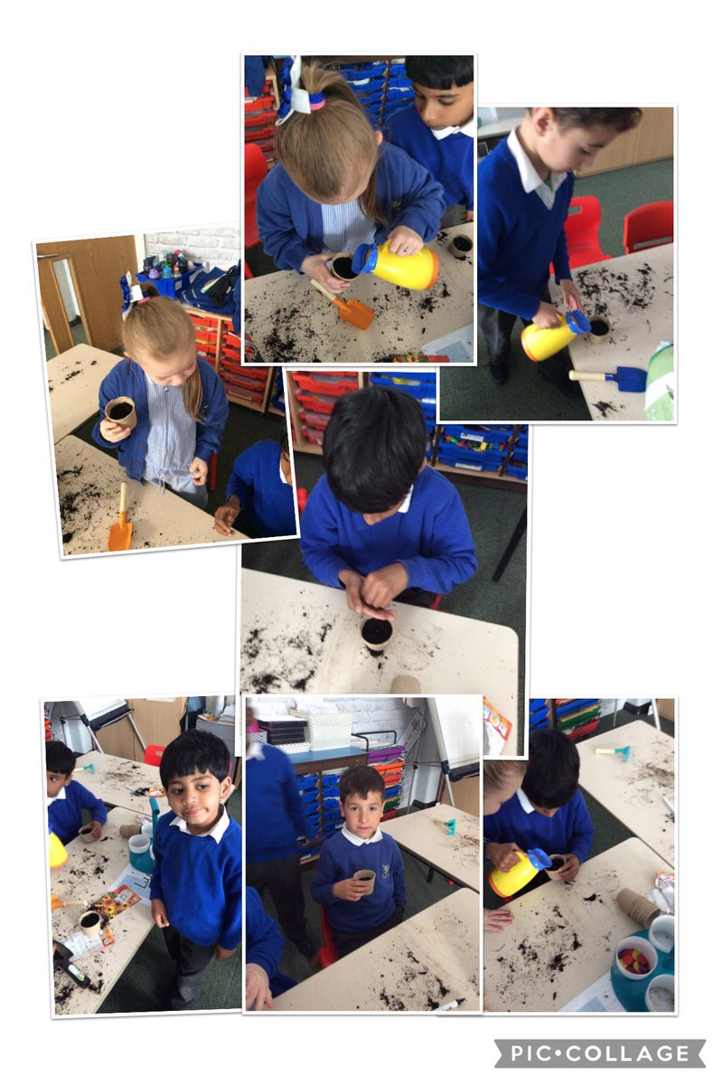 GSPSFrance's tweet photo. @GSPSFrance have been busy this afternoon planting seeds. We learnt all about the sequence of how a plant grows. Over the next few weeks we will be observing our plants and watching how they change and develop. @GwladysStPrim #GSPSSCIENCE https://t.co/hsc8KOvkoO