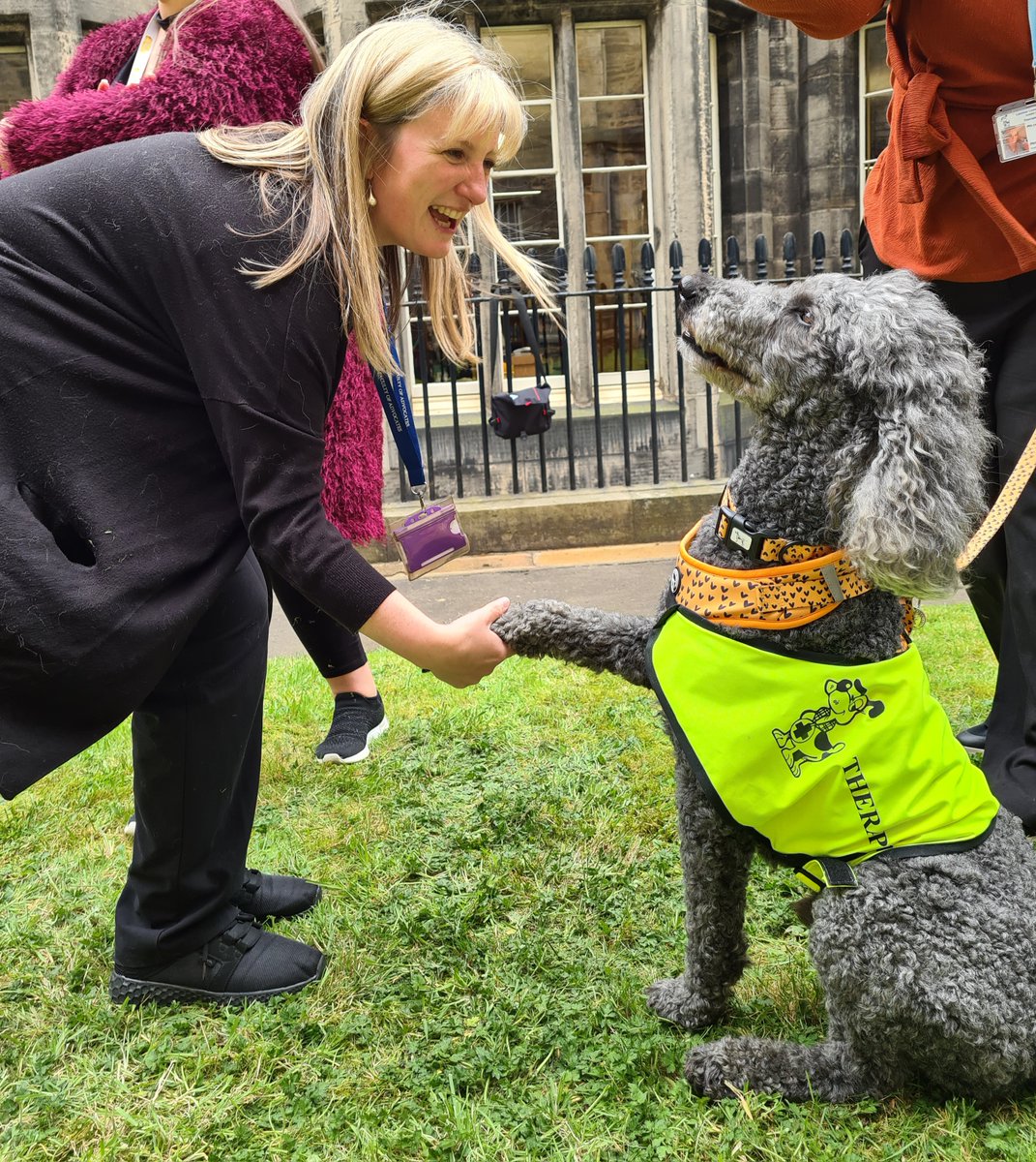 Themis Advocates Scotland tweet media