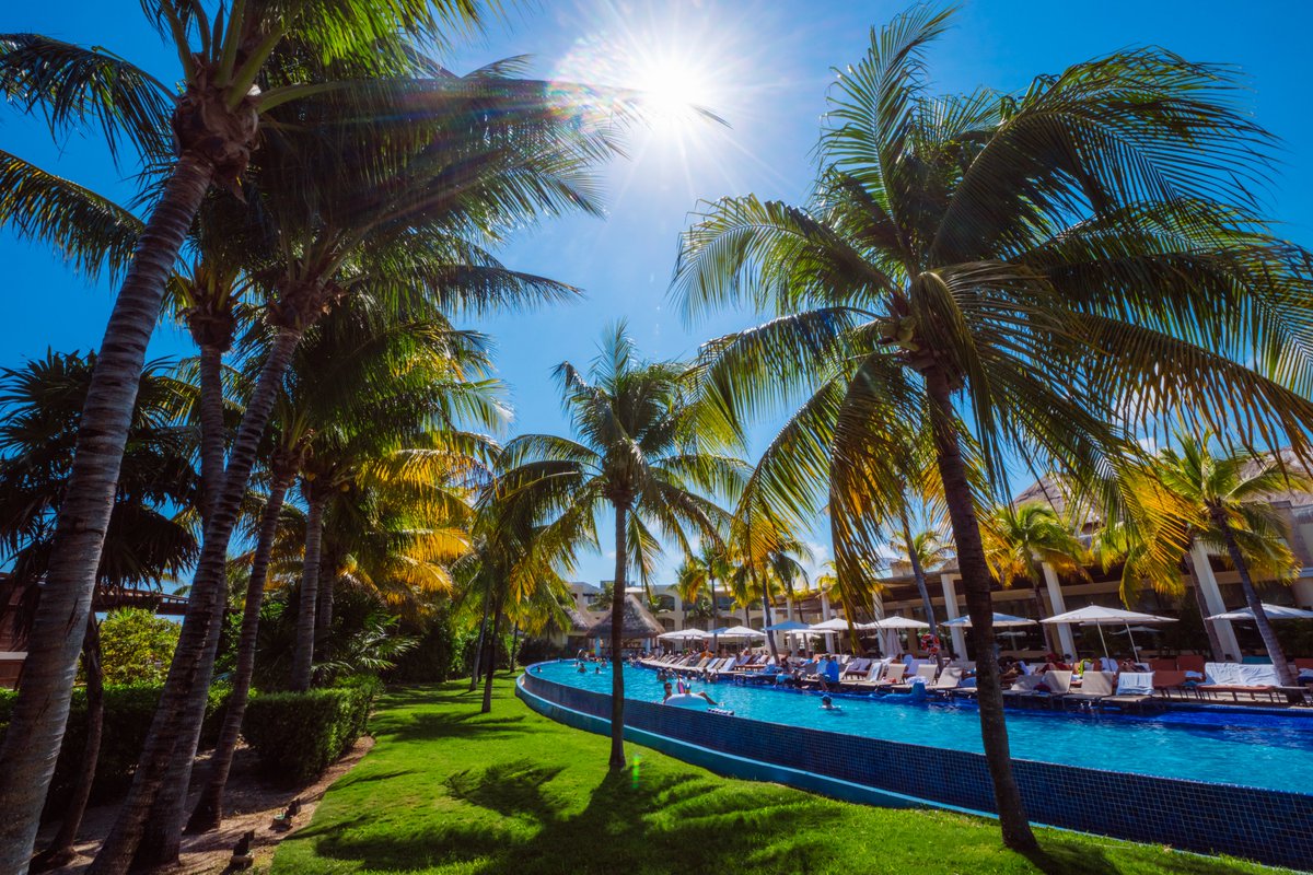 PhishRivMaya's tweet photo. Four nights in Mexico with Phish. ☀️🌊 https://t.co/qAgAIPLFvv