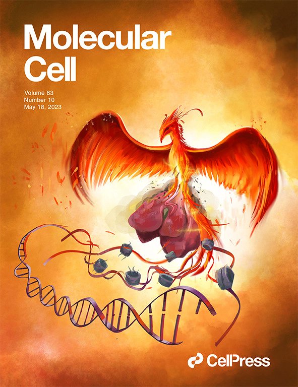 Read our latest issue: cell.com/molecular-cell…