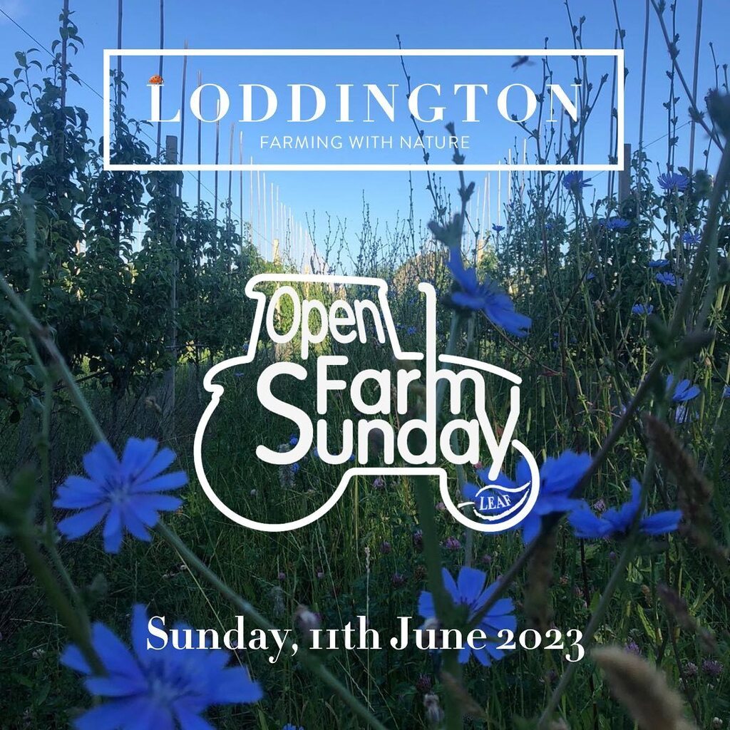 We enjoyed taking part in Open Farm Sunday so much last year that we're doing it again this year! 💪

In just under a month, we'll be opening our gates and celebrating everything farming with live music, great food (including our famous venison burger… instagr.am/p/CsY30hRMhTV/
