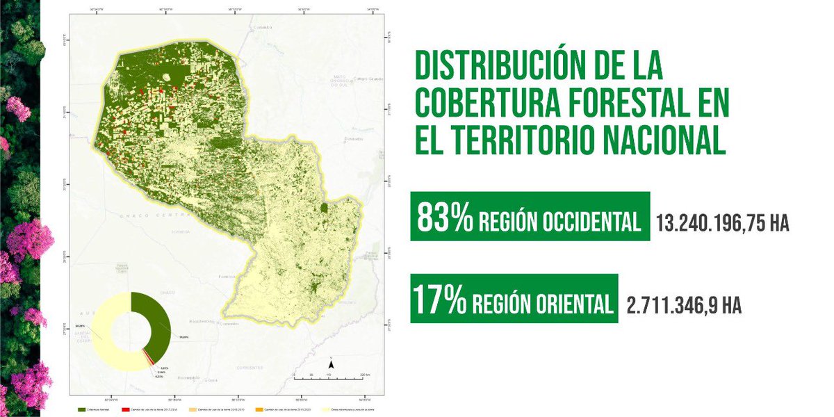 Lo bueno es que se pueden demostrar con datos que esto no es cierto, 8% de la superficie país se usa para cultivos de soja y en su rotación le siguen otros cultivos.