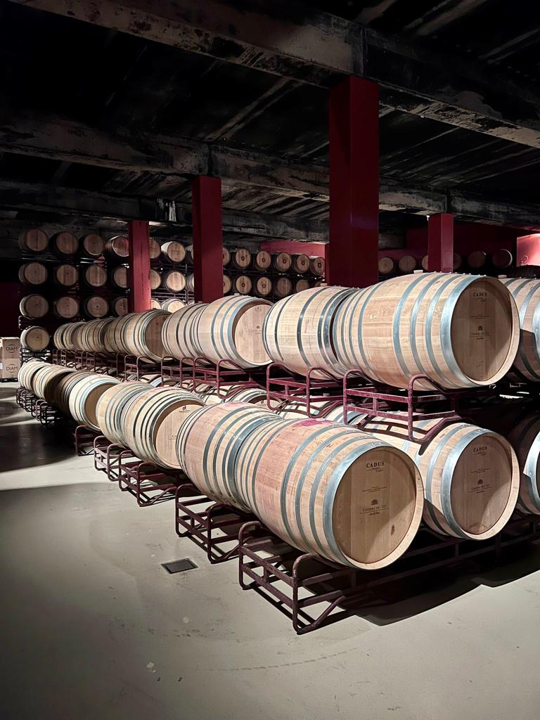 Vinalium1's tweet photo. 🍷 Esta semana hemos tenido la oportunidad de visitar las @CostersSio, un lugar que rebosa historia y pasión por el vino. 🍇✨
🌱 Recorrimos los viñedos bañados por el sol mediterráneo y descubrimos el cuidadoso proceso de cultivo de las uvas. 🌿🍇
#Vinalium #vino https://t.co/NjL3zN9amX