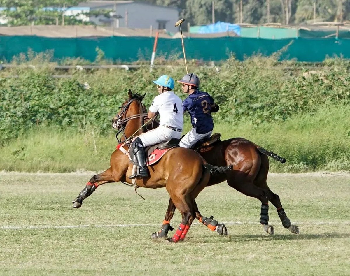 Thursday Thrills Served just about right! 💪🏼💥💯
#throwbackthursday
#tbt❤️
.
.
#horse #horserider #equestrian #equine #mumbai #sports #thingstodoinmumbai #events #polo #polosports #behindthescenes #poloplayers #poloplayer #chukker #chukkergame #power #Passion