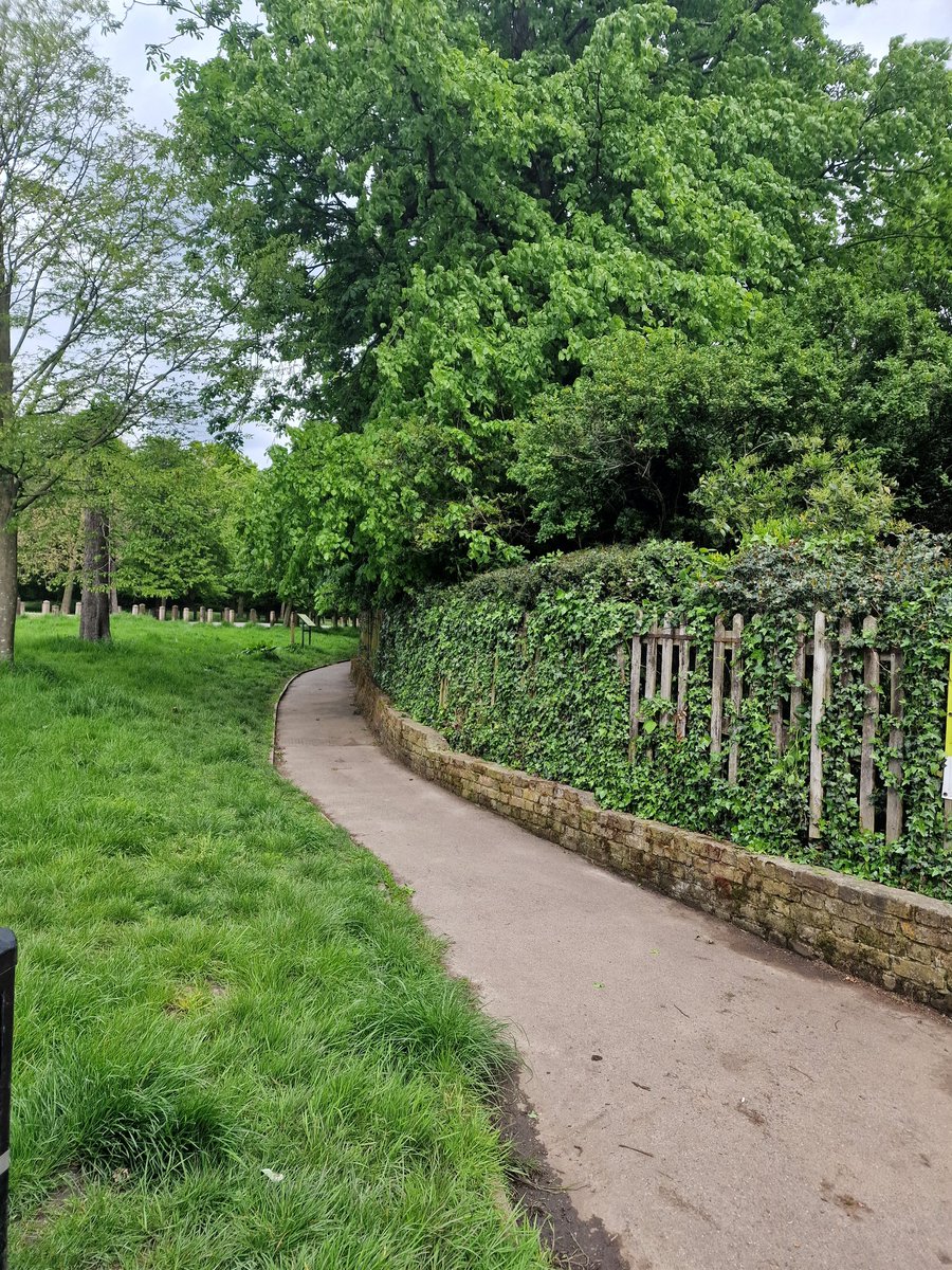 Thanks to the Community Payback team for their work at #streathamcommon Rookery this week! 
They've smartened up the iconic Rookery steps & cleared unsightly invasive growth from the main entrance.
In typical SCCOOP style some Ivy has been left in place to provide for #wildlife!