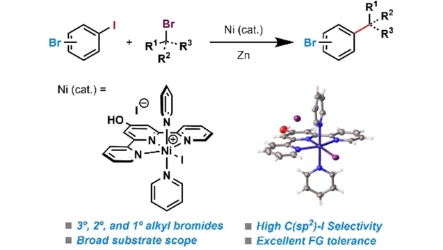 Angewandte Chemie (@angew_chem) on Twitter photo Nickel-Catalyzed C-I-Selective C(sp2)-C(sp3) Cross-Electrophile Coupling of Bromo(iodo)arenes with Alkyl Bromides (Chao Li and co-workers) <a href="/LabChao/">Chao Li Lab</a> onlinelibrary.wiley.com/doi/10.1002/an… Nickel-Catalyzed C-I-Selective C(sp2)-C(sp3) Cross-Electrophile Coupling of Bromo(iodo)arenes with Alkyl Bromides (Chao Li and co-workers) <a href="/LabChao/">Chao Li Lab</a> onlinelibrary.wiley.com/doi/10.1002/an…