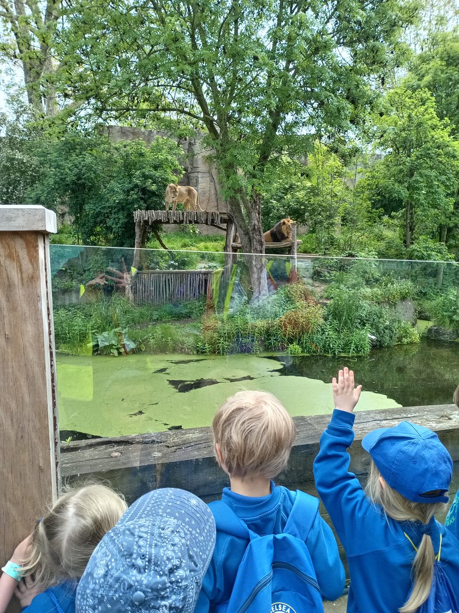 RPPS_Reception's tweet image. We&apos;re going to the zoo, zoo, zoo! You can come too, too, too!