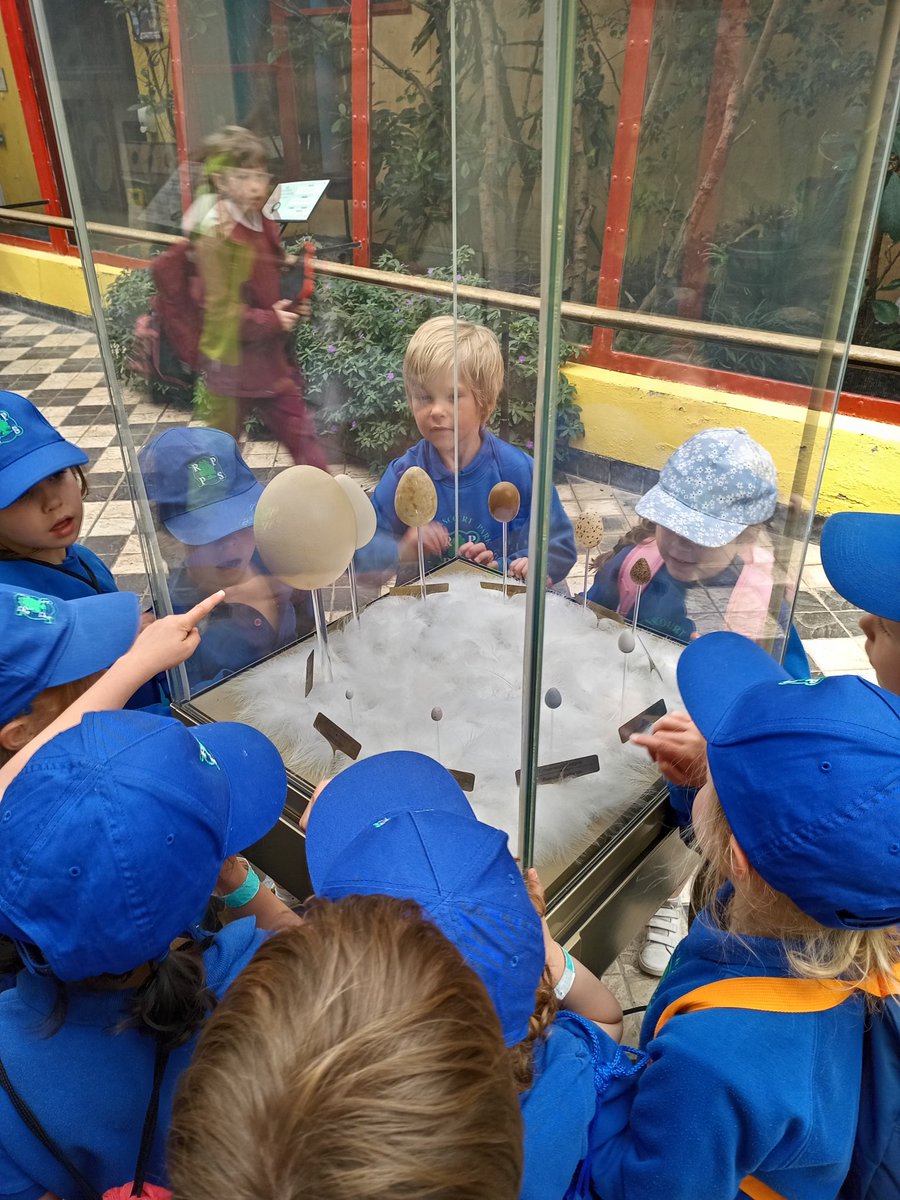 RPPS_Reception's tweet image. We&apos;re going to the zoo, zoo, zoo! You can come too, too, too!