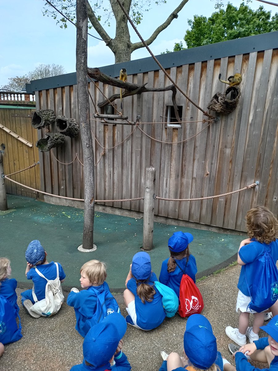 RPPS_Reception's tweet image. We&apos;re going to the zoo, zoo, zoo! You can come too, too, too!