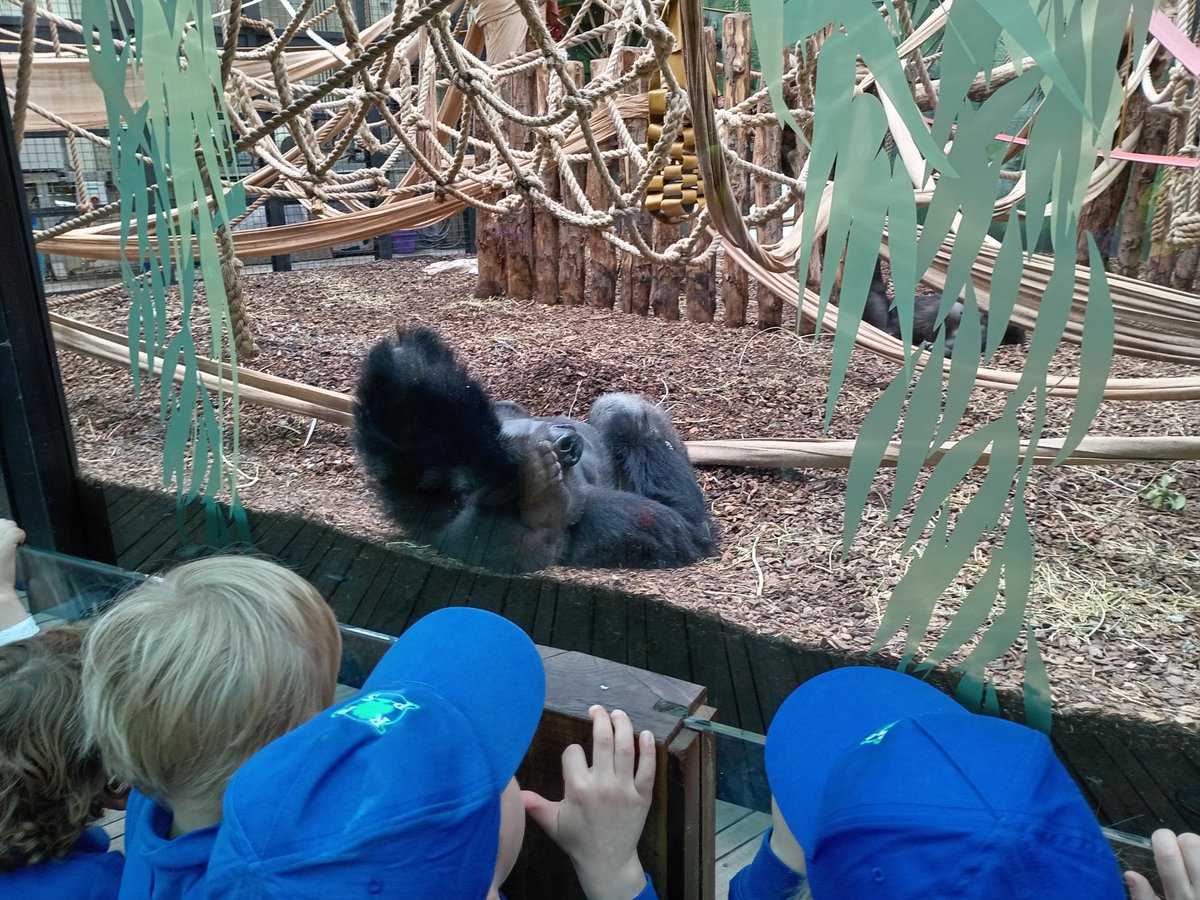 RPPS_Reception's tweet image. We&apos;re going to the zoo, zoo, zoo! You can come too, too, too!