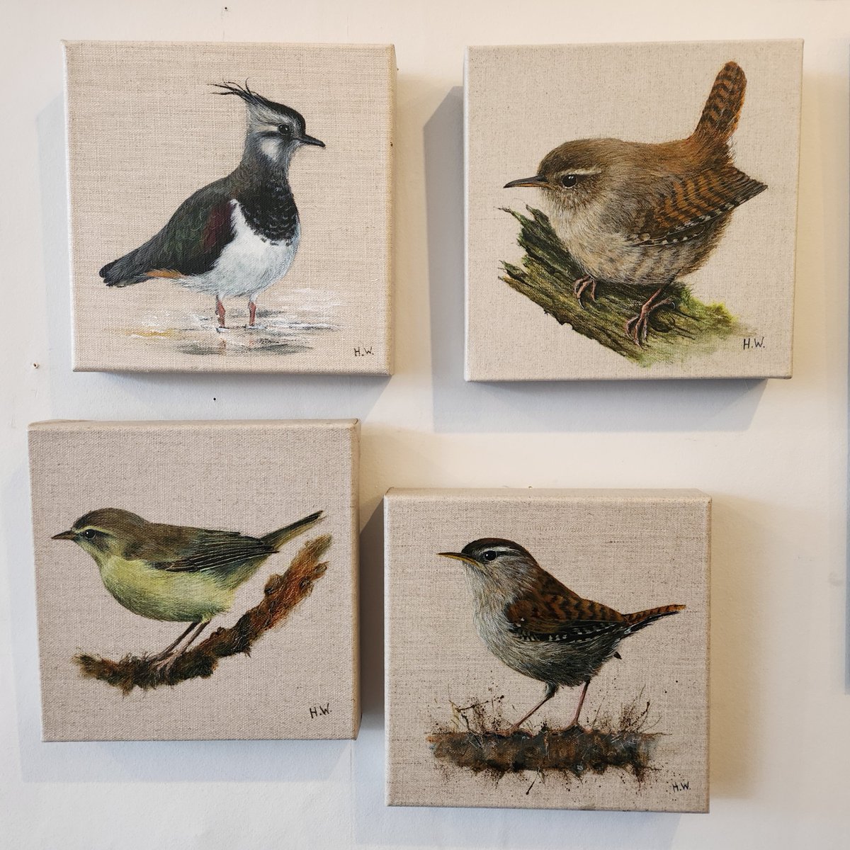 Four new pieces by Helen Welsh.

All are Acrylic on Linen.

Each measures 20cm x 20cm and are priced at £250.
