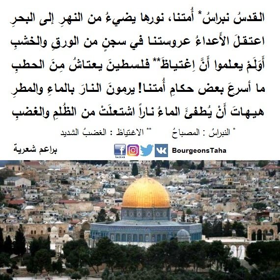 BourgeonsTaha's tweet photo. https://t.co/UPAjgQtpxo
