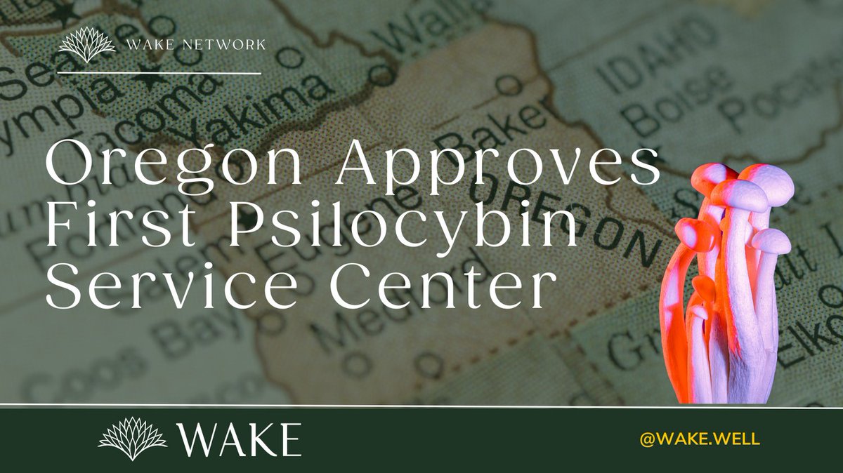 Wake Network tweet media