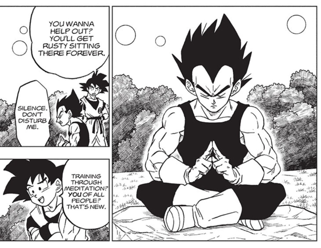 DBS, Manga