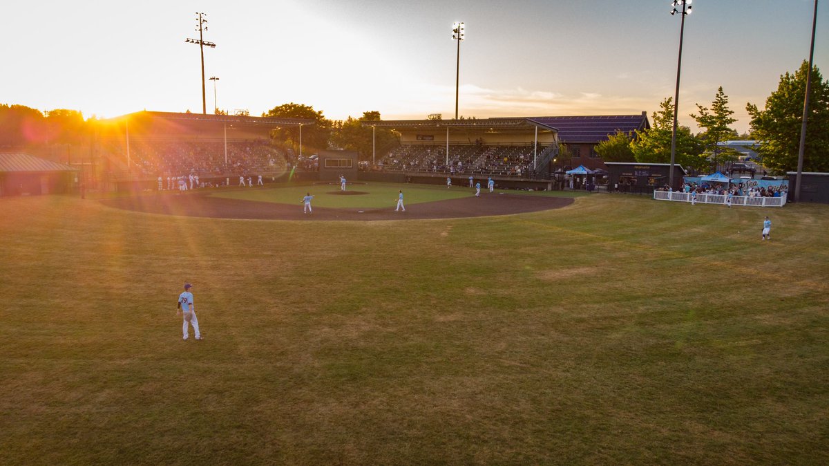 DubSea Fish Sticks tweet media