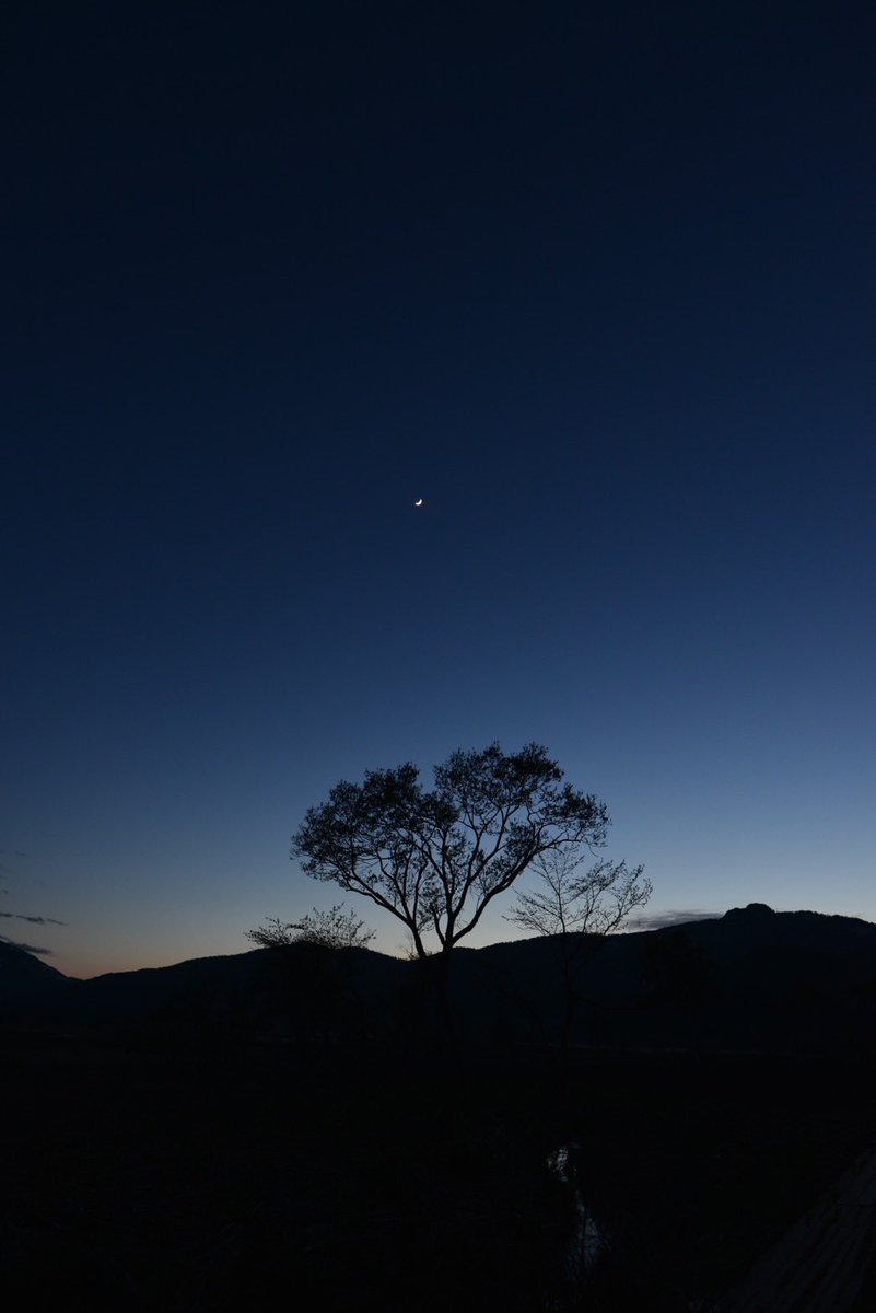 RakunanPhoto's tweet photo. 5年以上眠っていた洛南高校写真部公式アカウント復活！！
部員もすっかり入れ替わりましたが、普段の活動や写真などをツイートしていきます！ https://t.co/RoxCLRfNl0
