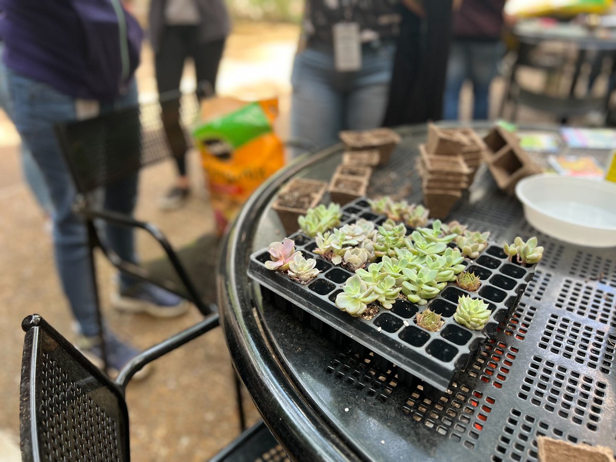 DBBSSAC's tweet image. Our Plant Event as a part of SAC Wellness Week.
Keep an eye on our next event, come and have fun!