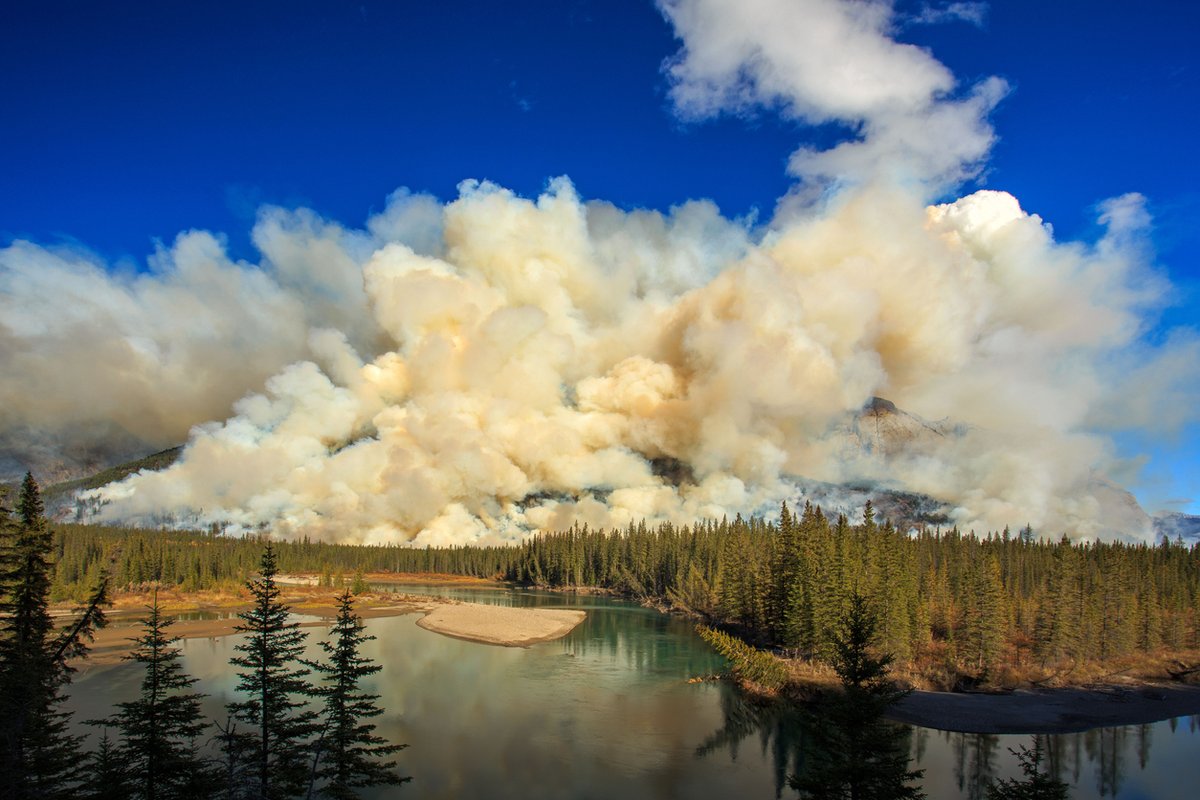 IISD Experimental Lakes Area (@iisd_ela) on Twitter photo "Natural infrastructure can be an extra firewall against the worst impacts of climate change.
Let’s focus on water to lessen the burn."
Josée Méthot takes to <a href="/TheHillTimes/">The Hill Times</a> to explain how natural infrastructure can help solve the prairies' water woes... bit.ly/3BBbDFI "Natural infrastructure can be an extra firewall against the worst impacts of climate change.
Let’s focus on water to lessen the burn."
Josée Méthot takes to <a href="/TheHillTimes/">The Hill Times</a> to explain how natural infrastructure can help solve the prairies' water woes... bit.ly/3BBbDFI