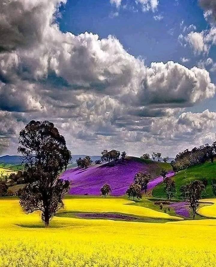 NATURALEZAV3's tweet image. Hermosa naturaleza.