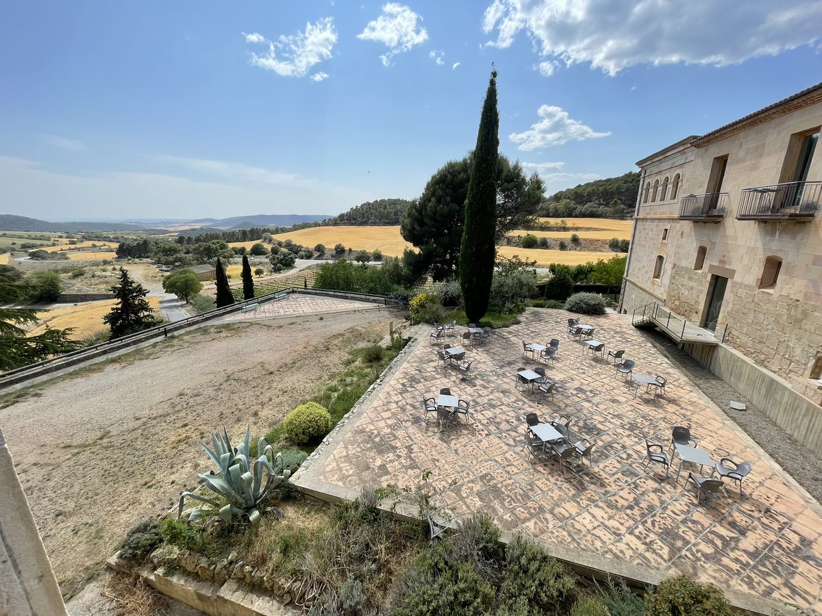 David Pyrooz tweet media