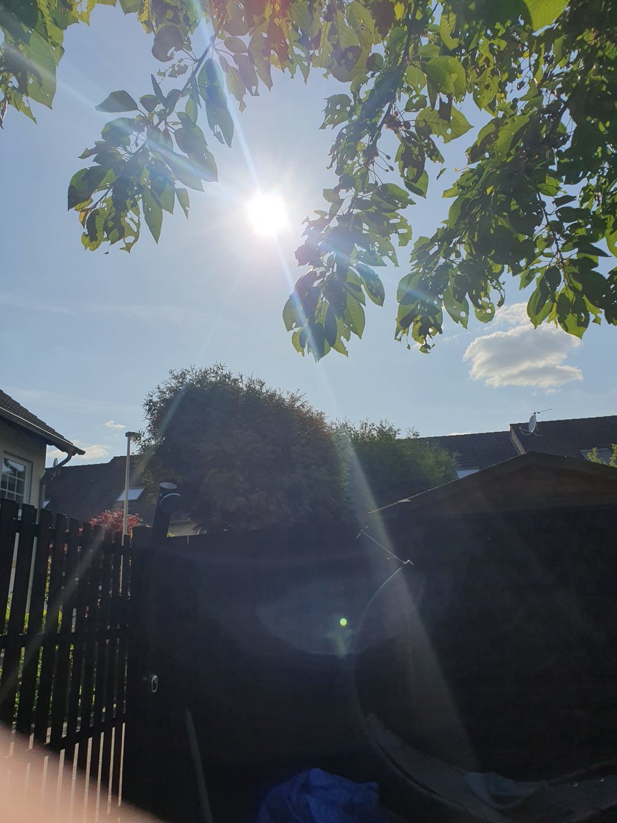 Michaela Schneider (@michael65005932) on Twitter photo 